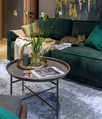 Professional rug cleaning Sydney – grey Art. Silk rug and green sofa in modern living room