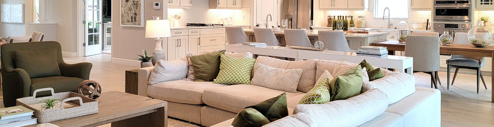 Professional Upholstery Cleaning